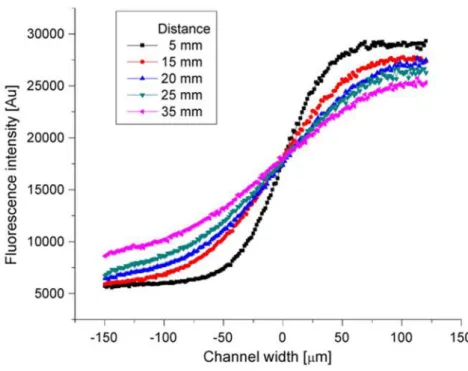 Figure 1.8 : Intensité de fluorescence en unité arbitraire mesurée expérimentalement le long  du  canal  (axe    de  la  Figure  1.7)  à  différentes  distances  de  la  jonction  Y