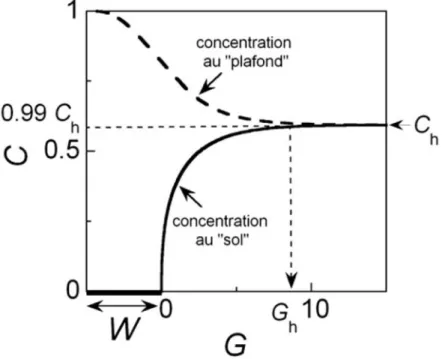 Figure  1.14 :  Détermination  de  ,  ,    et    à  partir  des  profils  de  concentrations  des  espèces    et  simulés à l’état sta tionnaire (          et           ),  aussi bien sur  le sol  (en  ligne continue) que sur le plafond (en ligne tiretée)