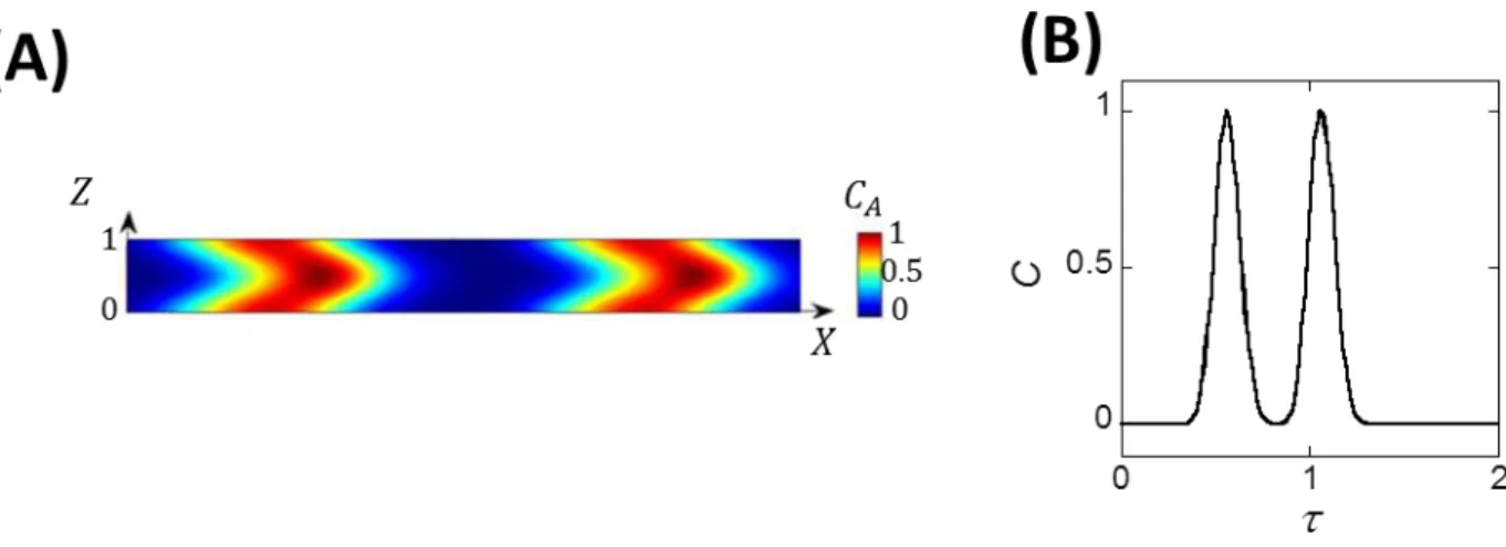 Figure  2.2 :  (A)  Profil  de  concentration  de  deux  pics  de  concentration  circulant  dans  le  microcanal