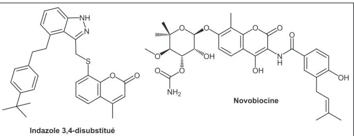 Figure 19. Inhibiteurs de l’ADN-gyrase. 