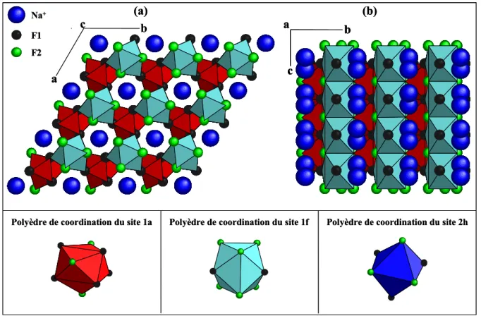 Figure I.10 : Représentations de la structure cristalline de NaLnF 4  (Ln = Y, Gd)  dans le système hexagonal 