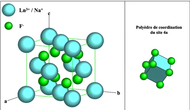 Figure I.11 : Représentation de la structure cristalline de NaLnF 4  dans le système cubique 