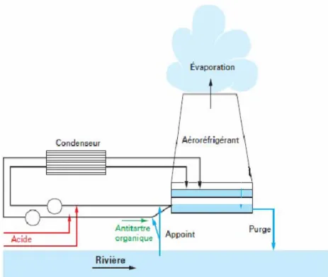 Figure I-1. Circuits d’eau dans un centre nucléaire de production d'électricité équipée d’un  système de refroidissement semi-fermé (Nordmann 2008) 
