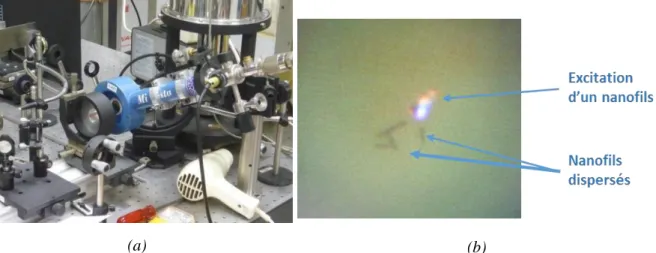 Figure  2.2.12  :  (a)  cryostat  ‘MicrostatHe2’  pour  le  dispositif  expérimental  des  mesures  de  µ-PL               (b) Photographie de nanofils de ZnO dispersé sur un substrat saphir et excités par laser
