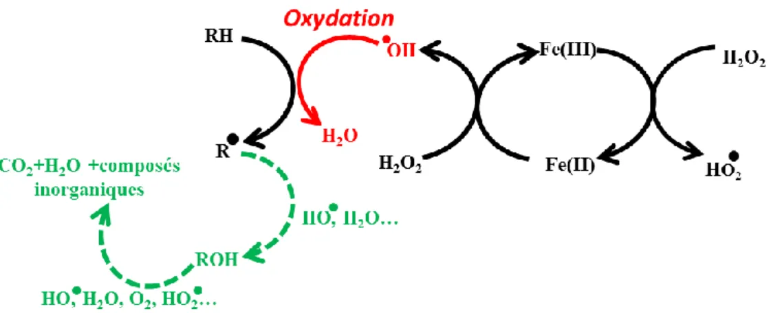 Figure 5 : Mécanisme de dégradation des polluants par le procédé Fenton 