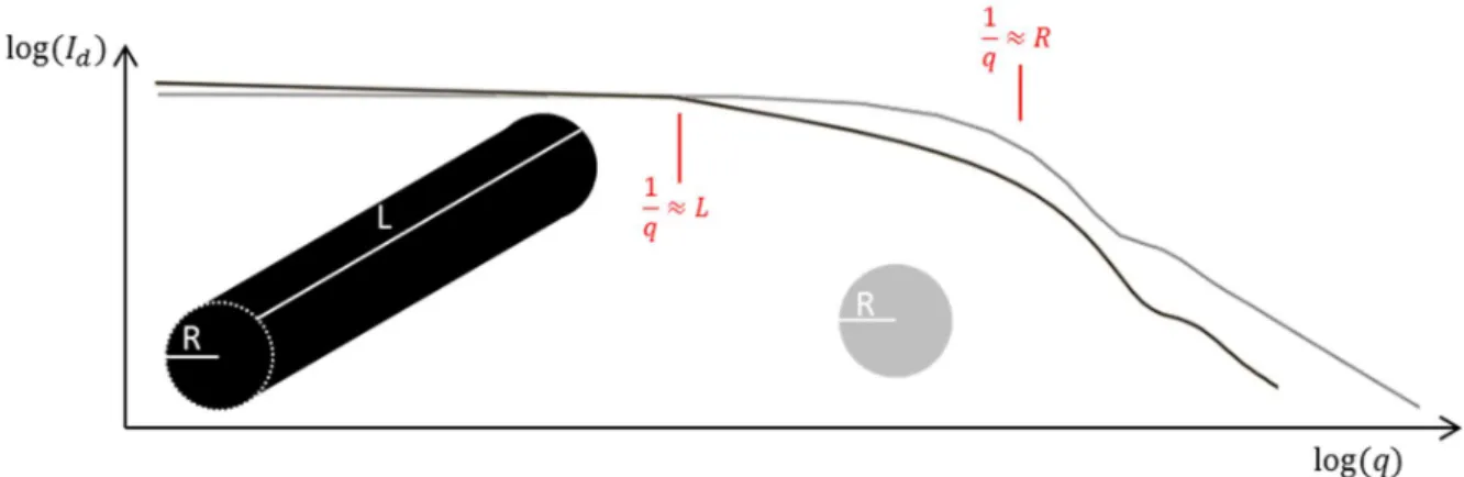 Figure 26 : Représentation schématique des facteurs de forme d’une sphère de rayon  