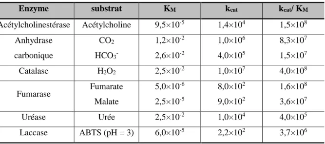 Tableau I.1: Exemples de constantes de Michaelis et de vitesses pour différentes enzymes 