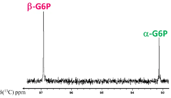 Figure 29 : Agrandissement du spectre thermique obtenu après l’expérience de D-DNP (Figure 28) sur la région  anomérique du G6P