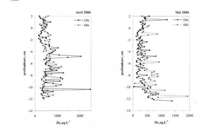 Figure 2. 29 : Profils verticaux des teneurs en Zn dans les eaux interstitielles des sédiments prélevés en k36