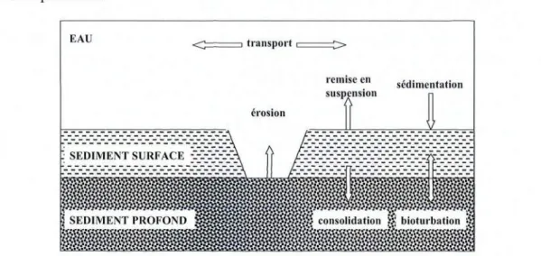 Figure 1.16: Représentation schématique des principaux processus de transport des particules