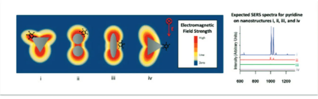 Figure I  -  11 : Amplification du champ électromagnétique en surface de nanoparticules  métalliques de formes variées sous l’excitation par l’onde électromagnétique E