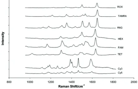 Figure I – 22  : Spectres SERRS de séquences d’ADN marqué en concentration 10 -8  M  par 8 différents marqueurs : ROX, TAMRA, R6G, HEX, FAM, TET, Cy3 et Cy5