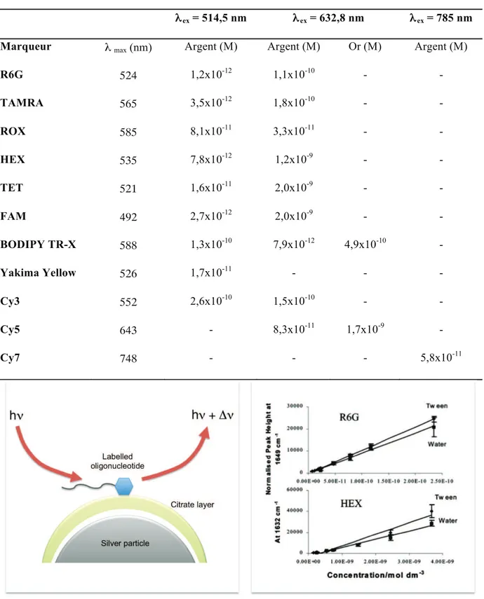 Tableau I-3 : Longueur d’onde d’absorption maximale, et limites de détection SERRS d’une série  de marqueurs utilisés dans l’analyse d’ADN marqué