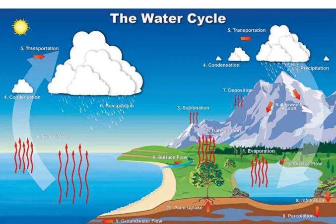Figure 2.1 : Cycle de l’eau, http://www.education.noaa.gov/Freshwater/Water_Cycle.html