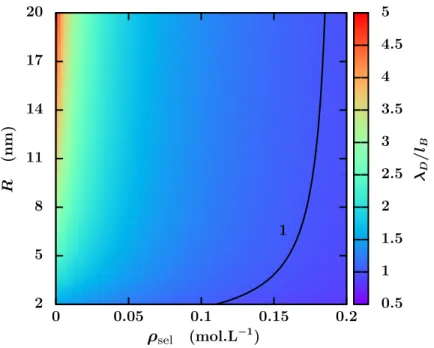 Figure 1: Ratio between the Debye length D and the Bjerrum length l B as a function of the salt concentration salt and the channel radius R, for a surface charge density