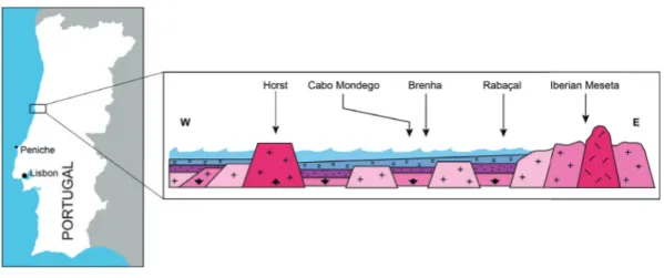 Figure 4 - Cross section of the Lusitanian Basin during the Toarcian, and sampled sections in the Coimbra and Figueira  da Foz region