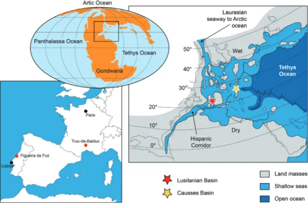 Figure 5 - Location of both studied basins during the Early Jurassic in western Tethys epicontinental sea (modified after  Bassoulet et al., 1993)