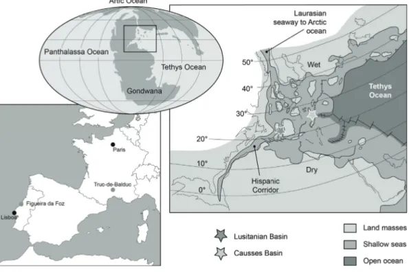 Figure 7 - Location of both studied basins during the Early Jurassic in western Tethys epicontinental sea (modified after  Bassoulet et al., 1993)