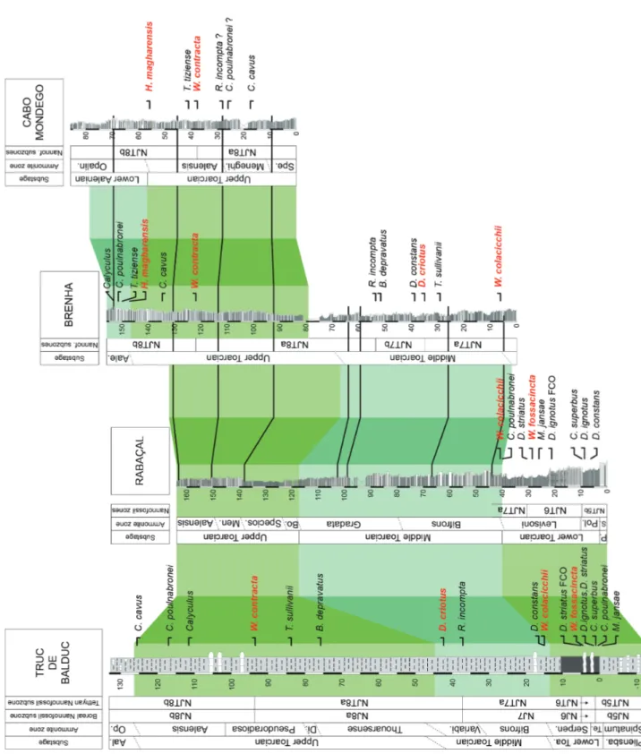 Figure 8 - Lithostratigraphic and biostratigraphic correlation between the studied sections in the Lusitanian and Causses  Basins
