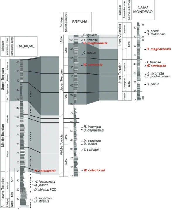 Fig. 2.Stratigraphic correlation between the three studied sections. Major bioevents and nannofossil zones/subzones are plotted