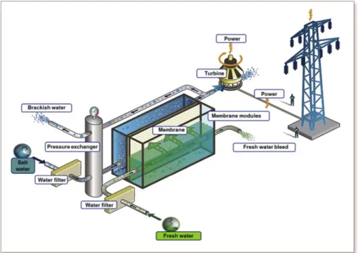 Figure 1.1  Procédé PRO (Pressure Retarded Osmosis, osmose à pression retardée) pour la production d’électricité utilisant l’eau de mer et de rivière (illustration tirée de la référence [9]).