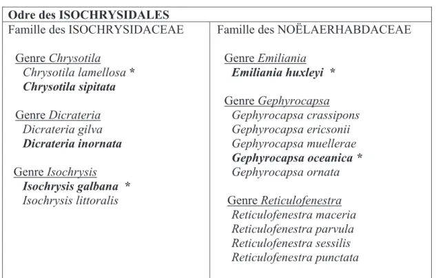 Table 1-2. Taxonomie des Isochrysidales actuelles. Les espèces en gras sont les espèces types
