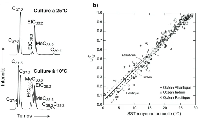 Figure 1-4. (a) Chromatogrammes partiels des alcénones produites par Emiliania huxleyi (souche  55a) à deux températures différentes, montrant l’augmentation de la proportion des alcénones en C 37:3 