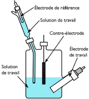 Figure II-13 : Schéma du montage à trois électrodes utilisé pour les mesures électrochimiques