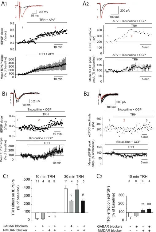 Fig. 6. Early and late TRH effects have a different pharmacology. A: In the presence of the selective NMDA receptor antagonist DL-APV (50 m M), TRH (5 m M) induces a progressive increase (2) in fEPSP (A 1 ) and eEPSCs (A 2 , recording obtained also in the 