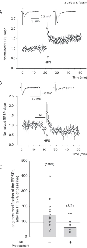 Fig. 8. TRH blocks the Long-Term Potentiation (LTP) establishment. A- Field excitatory post-synaptic potentials (fEPSPs) recorded in CA1 region of the  hippocam-pus in response to a stimulation of Schaffer collaterals every 30 s