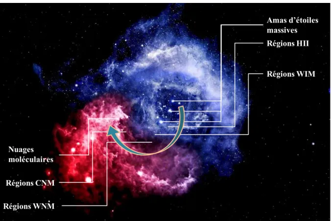 Figure I.2 le cycle de la matière à travers les régions HII (vue d'artiste). En bleu : image de la nébuleuse de la  rosette observée dans le visible