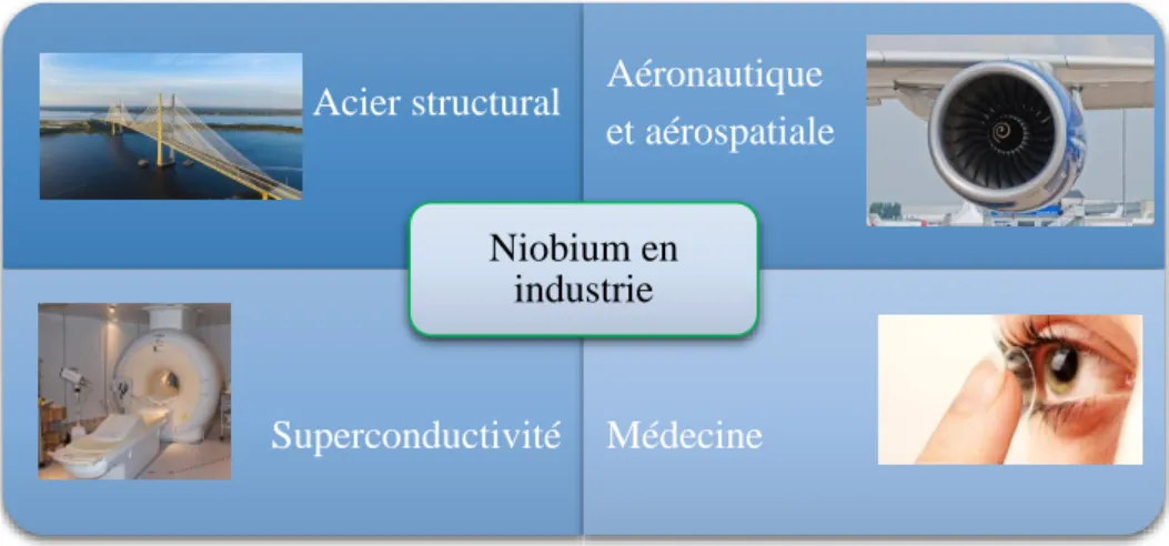 Figure I.3. Exemples d’applications industrielles du niobium 