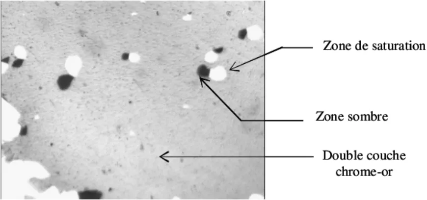 Fig.  II.  5 :  Photo  d’une  surface  de  quartz  recouverte  d’une  double  couche  chrome-or  après nettoyage de la surface à l’acide nitrique 10 %