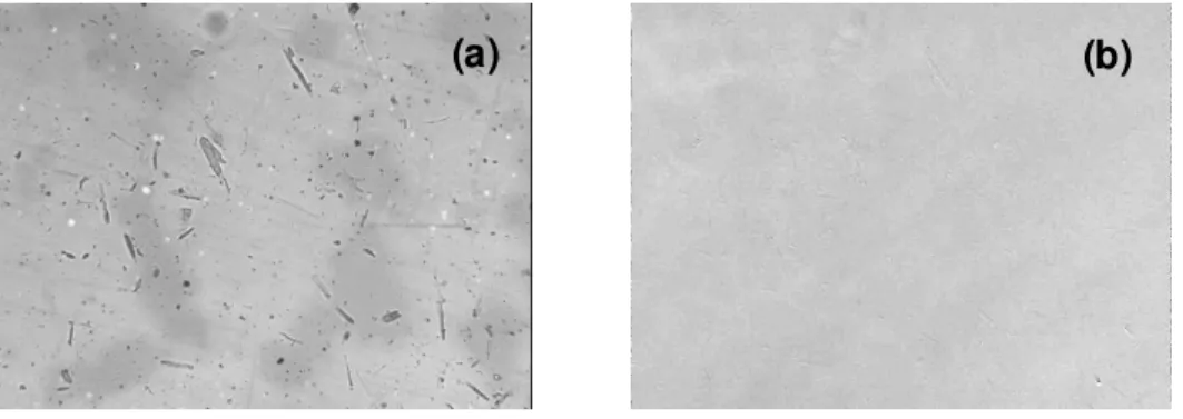 Fig.  II. 7: Photo  prise,  à  l’aide  d’un  objectif  x20,  de  la  surface  d’un  quartz  recouvert  d’une  double couche chrome-or à l’instant t = 30 s