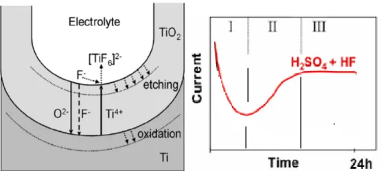 Fig. 1- 16  : Représentation schématique de l’anodisation du titane (formation de la couche  nanotubulaire de TiO 2 ) (a) et courbe courant-temps (b) en présence de l’acide fluoridrique  [71]
