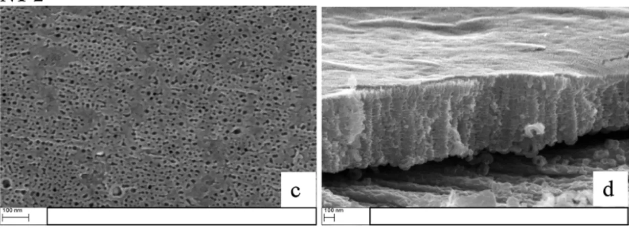 Fig. 2: images MEB des nanotubes de TiO 2  formées sur le substrat de Ti: (a), (c) and (e) vue de dessus; 