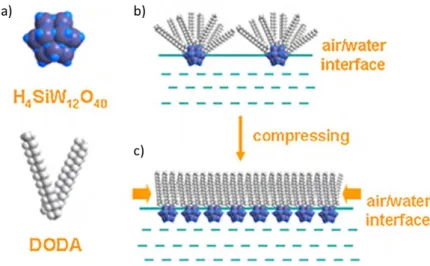 Figure  19 :  Méthode  de  Langmuir-Blodgett,  à  l'ajout  de  DODA  les  POMs  se  placent  à  l'interface  eau/air (b), puis les molécules sont comprimées pour former une monocouche compacte (c)