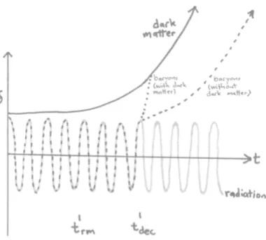 Figure 1.3 – Growth of the perturbations inside the horizon, as a function of time (Ryden, 2006).