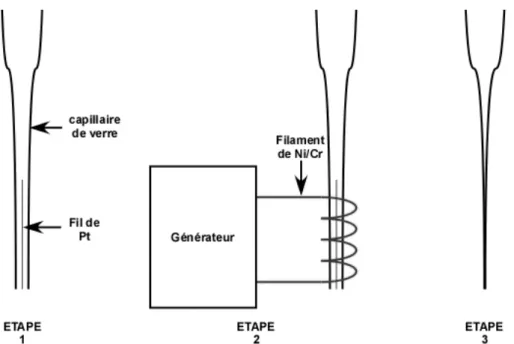 Figure 24 : Schéma de principe du scellement du fil de platine à l'aide de la microforge 