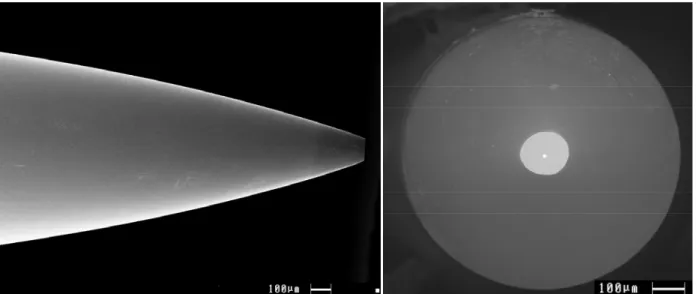 Figure 25 : Photos MEB d'une microélectrode de platine (a = 5 µm) de profil et de face 