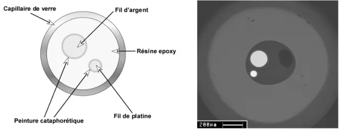 Figure 28 : Représentation schématique et photo MEB d'une bi électrode Ag/Pt 