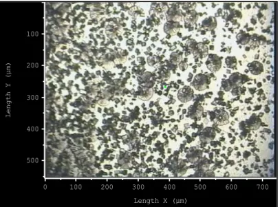 Figure III.1.7 : Image en microscopie optique de la surface du cuivre après  10 minutes  de polarisation 