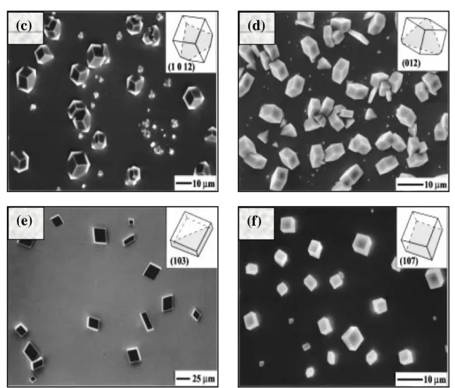 Figure  I.8 :  Photos  MEB  présentant  la  nucléation  sélective  de  cristaux  de  calcite  sur  l’or  par l’intermédiaire de monocouches auto-assemblées, (a): CO 2 - /Au,  (b):  OH/Au,  (c):  SO 3  -/Au, (d): CO 2 - /Ag, (e): OH/Ag, (f): SO 3 - /Ag (Aiz