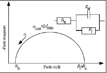 Figure  II.6:  Impédance  électrochimique  dans  le  plan  complexe  de  Nyquist  dans  le  cas  d’une cinétique d’activation 
