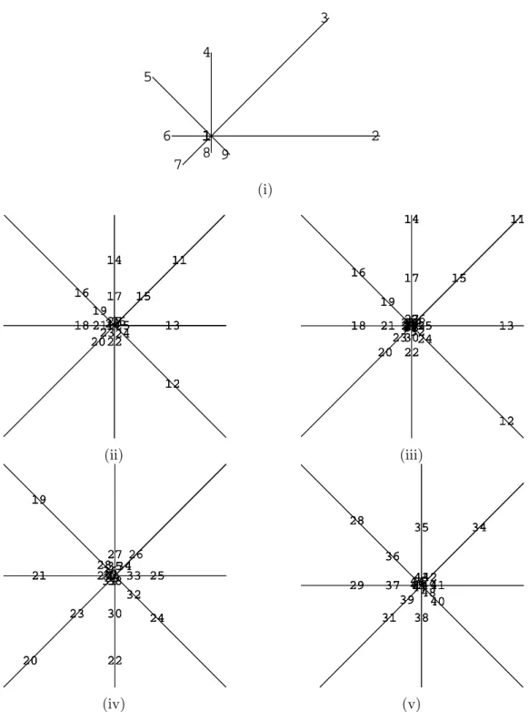 Fig. 2.18 – (i) : contrainte intiale Γ, (ii) ` a (v) : projections seules, agrandissements successifs autour de P 1 .