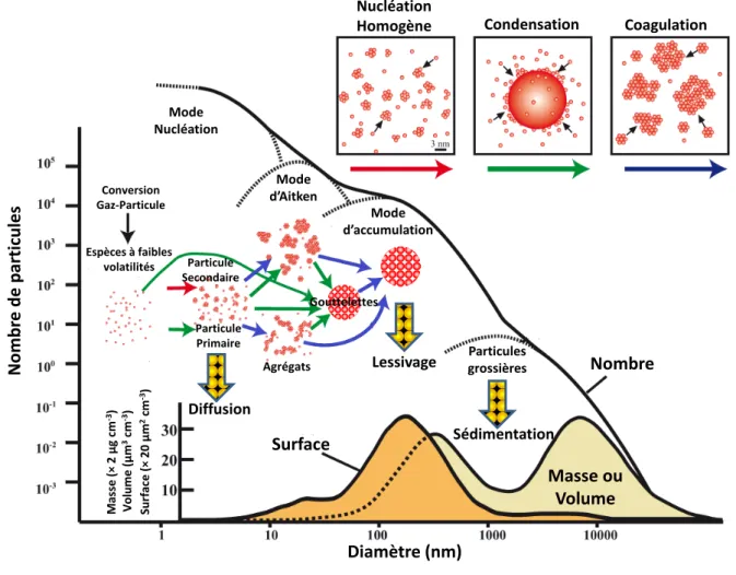 Figure I-1 : Mécanismes de formation des aérosols et schématisation de la distribution en nombre, en surface et  en masse (ou volume) des aérosols (d’après Buseck et Adachi, 2008).