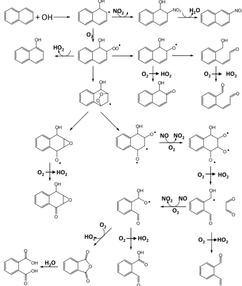 Figure I-17 :  Mécanisme d’oxydation du naphtalène par le radical hydrox yle (Kautzman et al., 2010)