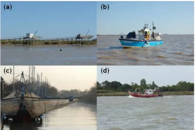 Figure 3. Pratiques de pêche observées le long de  l’estuaire de la Gironde : (a) Carrelets, (b) fileyeur  (tramail), (c) pibalour et (d) fileyeur (nasse)