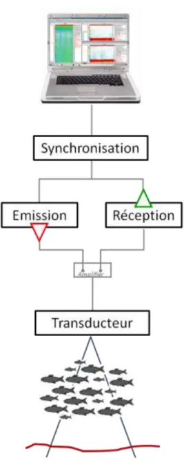 Figure 5. Schéma de la structure générique de fonctionnement d’un système sondeur. 