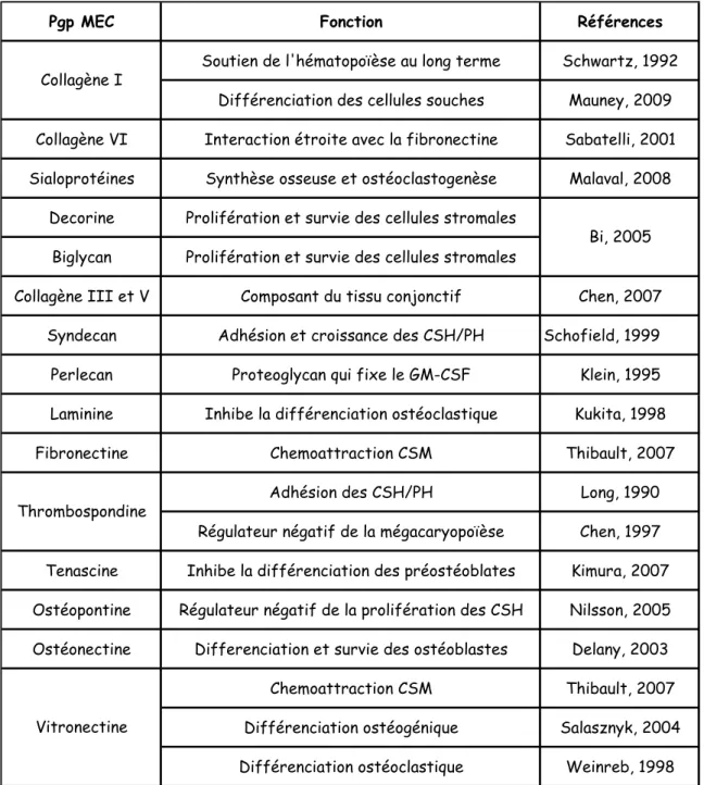 Tableau 2 : Principales protéines de la matrice extracellulaire 